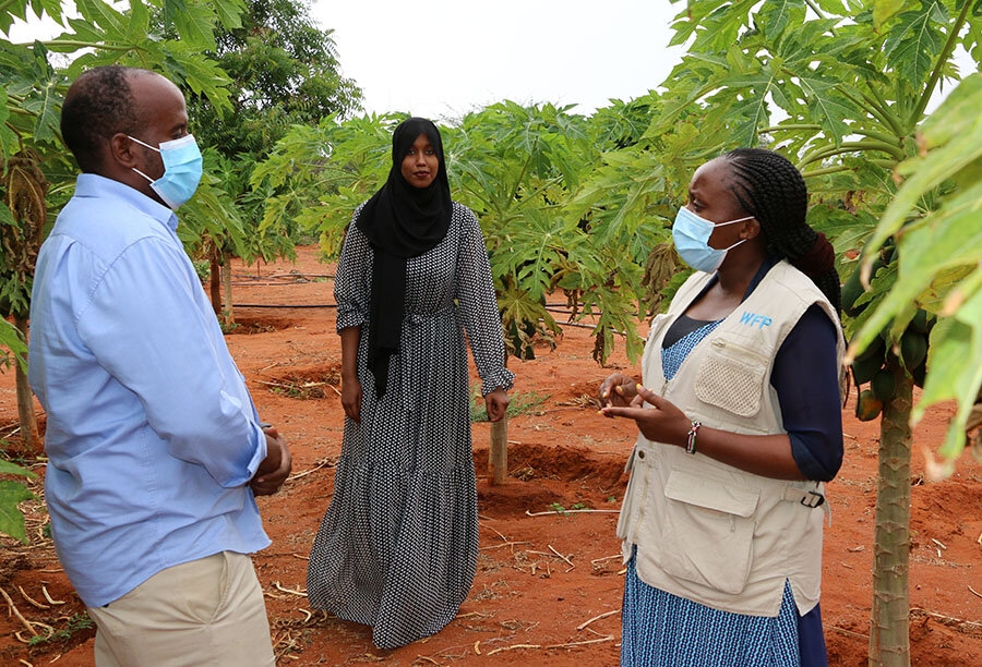 Freerice - From Soil To Success: Meet The Kenyan Farmer Empowering ...