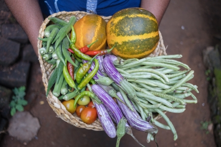 Vegetables collected from Siryani's garden in Sri Lanka