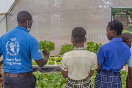 John Serwanga, hydroponics consultant with WFP, training students, teachers and parents on hydroponics at Bulungu Primary School